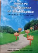 The Essence of Adolescence: A Roadmap for the Teenage Years