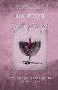 By The Light Of The Fire:Rabbi Moshe Weinberger On Chanukah
