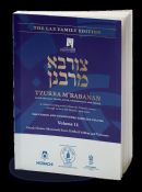 Tzurba M'Rabanan Volume 11 Orach Chaim: Shemoneh Esrei Tefilla B'tzibbur and Tachanun