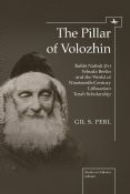 Pillar Of Volozhin:Rabbi Naftali Zvi Yehuda Berlin and the World of Nineteenth-Century Lithuanian Torah Scholarship